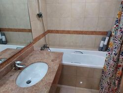 Sommerville Park (D10), Condominium #610986151